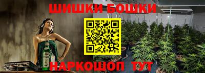 круглые Камышлов