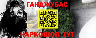 тгк Кингисепп