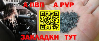 тгк Кингисепп