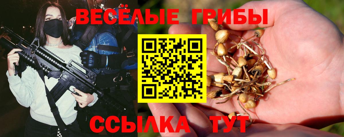 Псилоцибиновые грибы мухоморы  Вход с VPN  Кызыл 